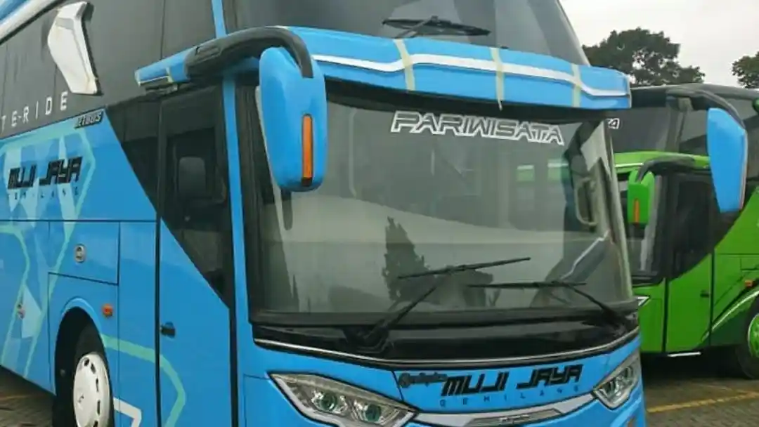 Foto - PO Muji Jaya Borong Bus Baru Untuk AKAP dan Pariwisata