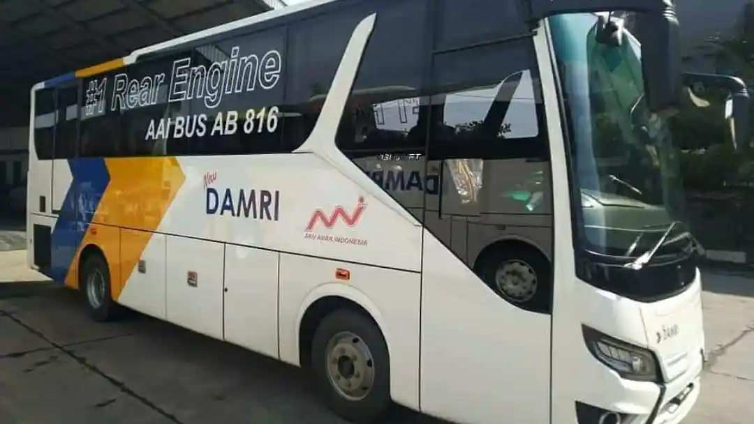 Bus - Seperti Ini Tampang Bus Medium Bermesin Belakang Damri