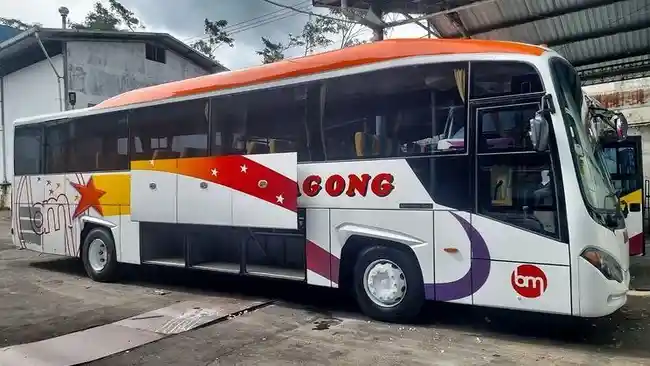 Bus - PO Bagong Siapkan Big Bus Untuk AKDP, Pakai Bodi Langka