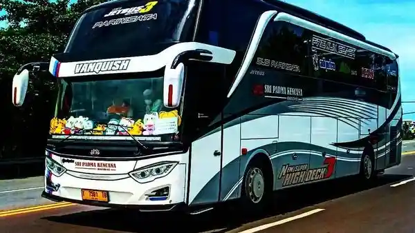 Bus - Begini Sosok Bus PO Sri Padma Kencana Sebelum Celaka, Sempat Beri Kenangan Baik