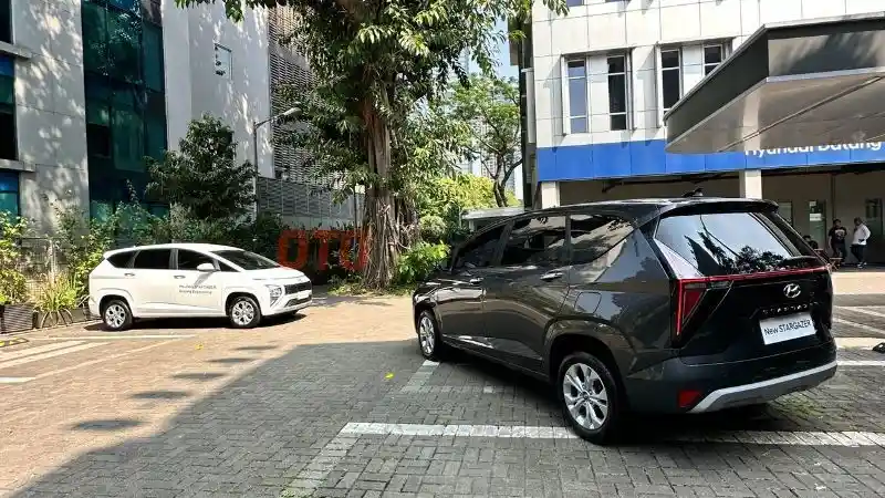 Foto - 7 Hal Yang Perlu Anda Ketahui Tentang Stargazer Essential