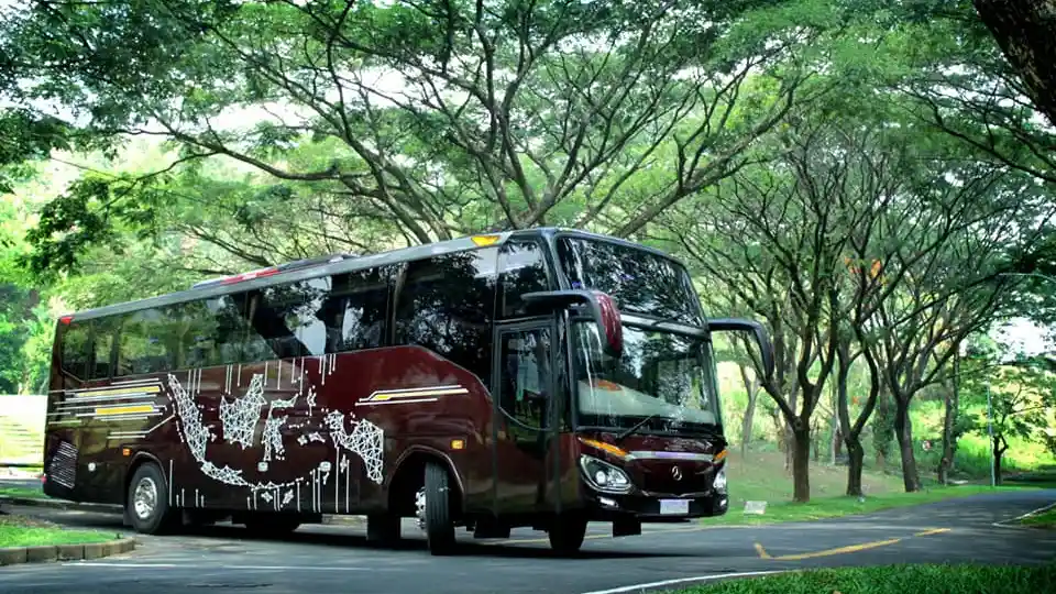 Foto - Reborn! Bus New Patriot Buatan Karoseri Morodadi Prima Malang, Bergaya Simpel dan Elegan