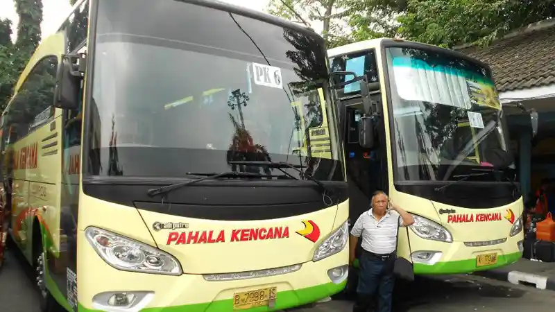 Bus - Mau Libur Tahun Baru ke Surabaya dan Jogja? Ini Harga Tiket Busnya