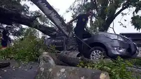 Foto - Musim Hujan Plus Angin Kencang: Hindari Parkir di Area Berikut Ini
