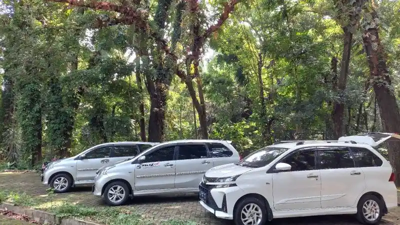 Foto - Veloz Hybrid Segera Hadir, Versi Bensin Menyingkir