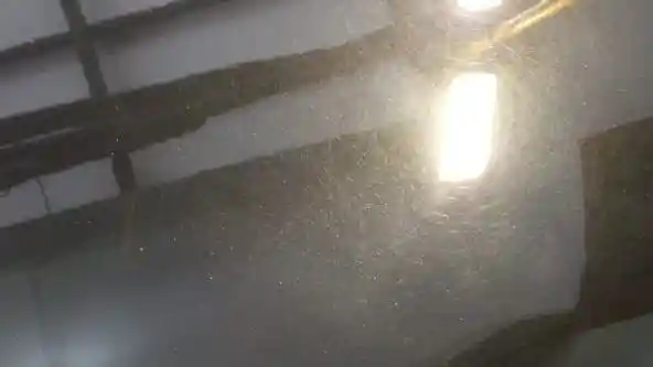 Foto - Apa Itu Paint Correction? Ini Dia Penjelasannya