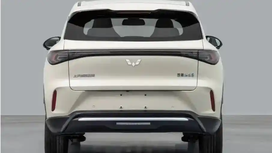 Foto - Wuling Siapkan BinguoEV Versi SUV, Lawan BYD Dolphin