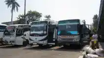  Perusahaan Otobus Wajib Cegah Bus Ugal-Ugalan, Ini Solusinya