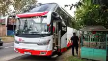  M Trans Buka Trayek Baru Bus AKAP Rute Denpasar-Ponorogo Via Malang