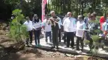  Pabrik Toyota Indonesia Hijaukan Jawa Dengan Tanam Pohon Sakura