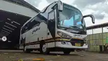  Medium Bus Baru, Catur Karoseri, Tetap Gagah Pakai Single Glass