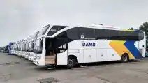  Damri Kembali Buka Jalur AKAP Dengan Rute Palu-Gorontalo