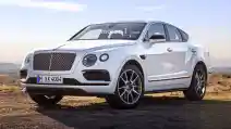  Bentley Akan Produksi SUV Berukuran Lebih Kecil Dari Bentayga?