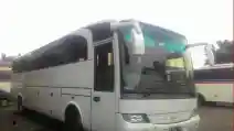  Bus Unik Milik PO Primajasa, Tua Tapi Mewah