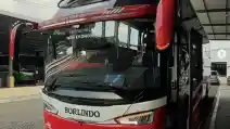  Ada Yang Unik Di Bus Baru PO Borlindo, Apa Itu?