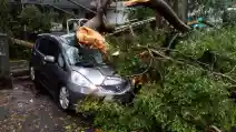  Belasan Mobil Hancur Akibat Badai di Bandung 