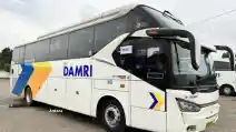  Kolaborasi Damri Dan Provinsi Lampung Rilis 26 Unit Bus