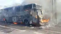  Bus Medali Mas Malang-Jakarta Terbakar Di Lamongan