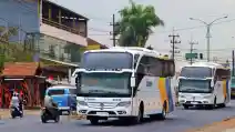  Sambut Libur Natal dan Tahun Baru, Ada Bus Sehat Dari Damri