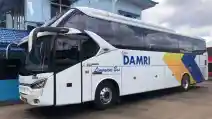  Asyik, Damri Kini Punya Rute Baru Bus AKAP Jakarta-Surabaya, Cek Tarif Promonya!