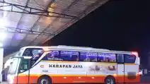  PO Harapan Jaya Buka Lowongan Untuk Kru Bus Baru