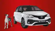  Toyota Etios Sport Muncul di Afrika Selatan, Mesinnya Beda Dengan Versi Indonesia