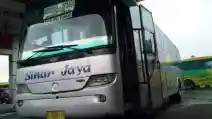  Selain Ngeblong, Ini Istilah Unik Di Dunia Penggemar Bus