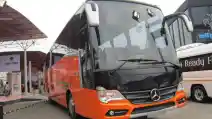  Telisik Harga Sasis Bus Mercedes-Benz, Mana Yang Paling Murah?