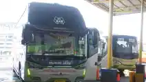  Penumpang Bus Antarkota Membeludak Di Libur Panjang