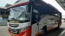  Bus Non-AC Masih Eksis! Ini Garapan Terbaru Karoseri Tentrem