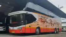  Dengan Bagasi Superluas, PO Harapan Jaya Luncurkan Bus Baru Avante D1