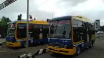  Bulan Februari, Naik Bus 'Tayo' Ini Hanya Rp 3.000