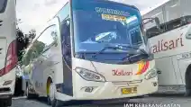  Penasaran Dengan Bus Langka Mercedes-Benz OH 1725 L? Bisa Naik Rute Ini