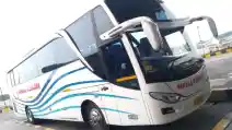  Rute Baru Bus Super Executive Pahala Kencana, Pakai Kursi Pijat Elektrik!