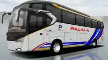  Siap-siap Menunggu Kedatangan PO Bus Baru Untuk ‘Pulang Basamo’