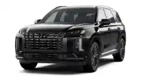  Hyundai Palisade Calligraphy Night Edition Hadir Di AS,Tampil Lebih Gahar!