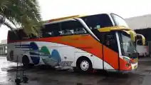  Mau Pergi Ke Surabaya, Ini Daftar Busnya… 