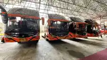  Bus Hino Merambah Kalimantan Selatan