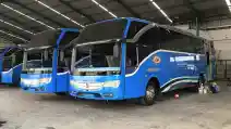  Wow, Damri Segera Luncurkan 100  Bus Baru, 60 Persen untuk Angkutan Bandara