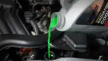  Ini Alasan Cairan Radiator Coolant Perlu Rutin Diganti