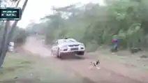  VIDEO: Anjing Paling Beruntung Setelah Nyaris Terlindas Lancer Evolution