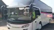  Jangan Salah Naik Bus Primajasa, Kenali Perbedaan Kelasnya