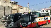  Jawa Timur Akan Kebanjiran Bus AKDP Mercy Mesin Depan