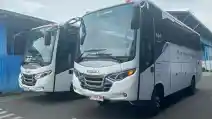  Isuzu NQR Medium Bus Versi Kawasan Tambang, Seperti Ini Desainnya