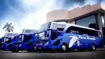  Baru Dirilis, Bus Putra Remaja Berbodi Ventura HDD Dari Morodadi Prima