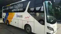  Seperti Ini Tampang Bus Medium Bermesin Belakang Damri