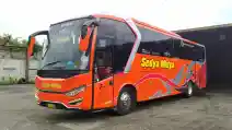  Hindari Corona, PO Sedya Mulya Hentikan Operasi Bus ke Jakarta dan Denpasar