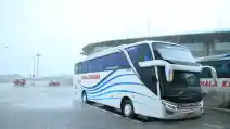  Minat Jadi Supir Bus Malam? PO Pahala Kencana Lagi Buka Lowongan