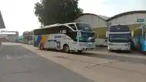  Damri Jajaki Jadi Operator Bus Haji di Arab Saudi