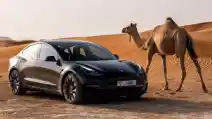  Beberapa Alasan Tesla Tak Lagi Jadi Mobil Listrik Impian